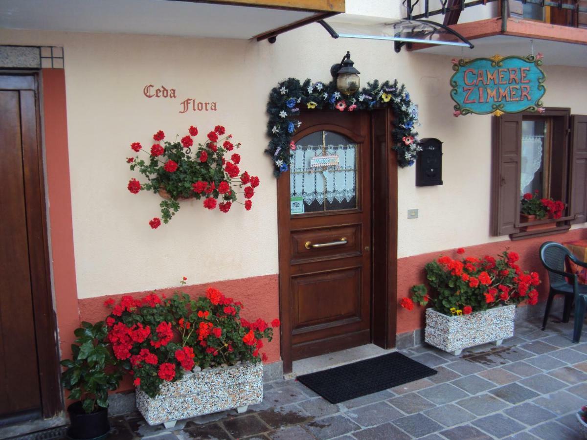La Casa Di Beppe Appartamento E Camere Danta Extérieur photo